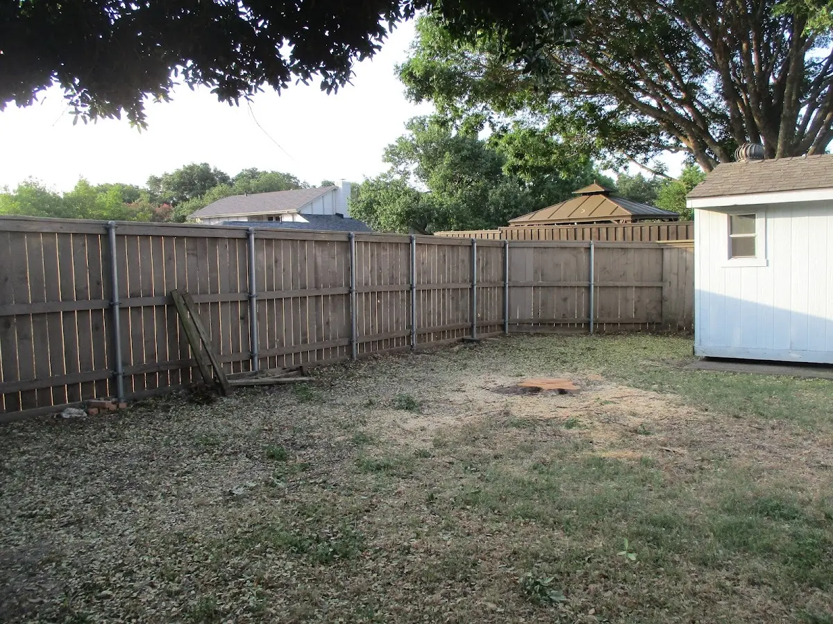 Cleared yard after professional tree removal in Oakland Mills