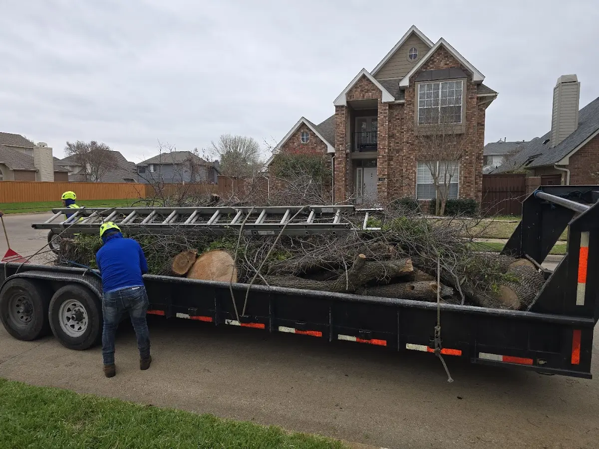 Expert Tree Removal with proper safety equipment in Oakland Mills